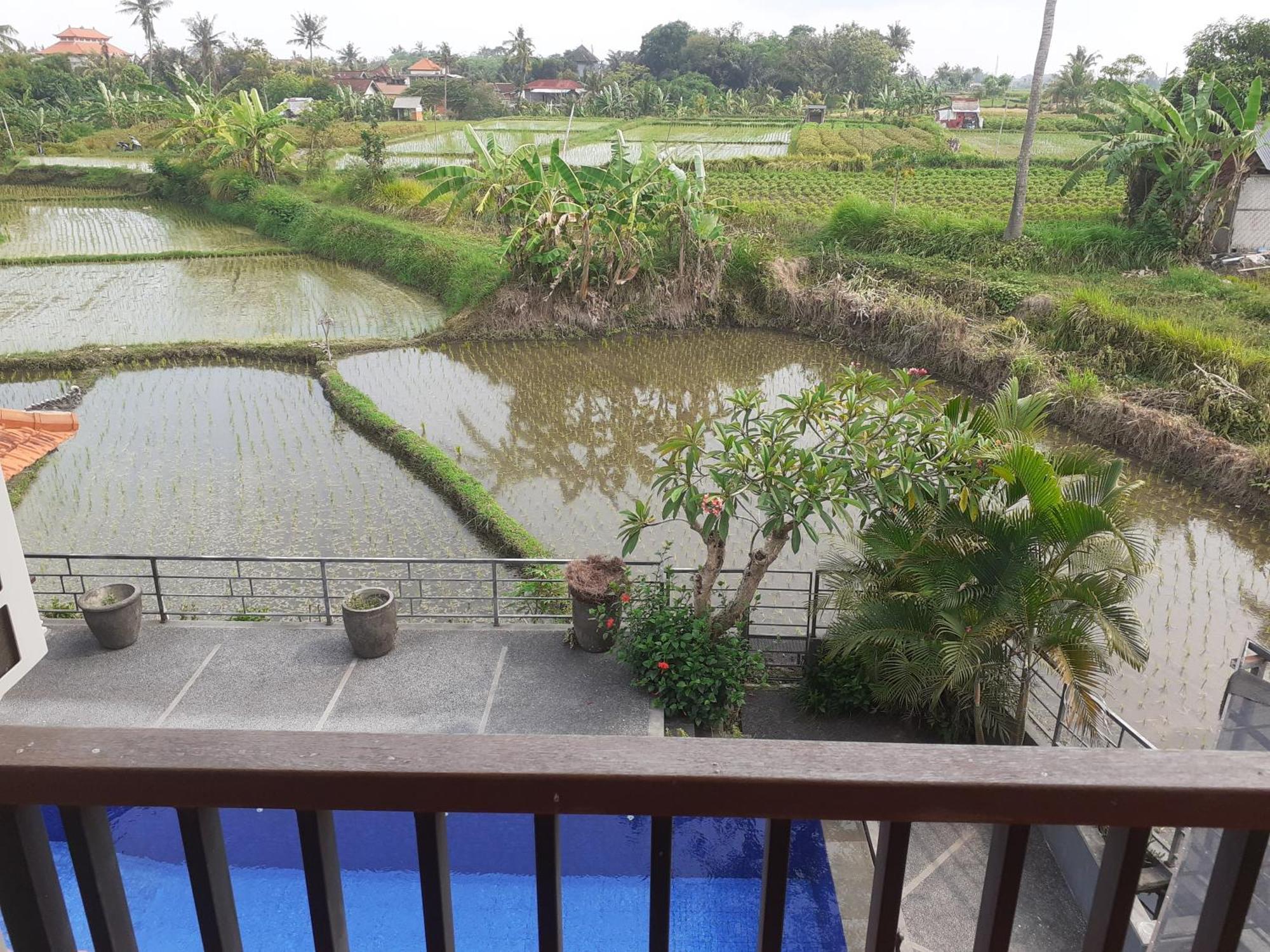 Griya Bun Sari Apartment Sukawati  Exterior photo