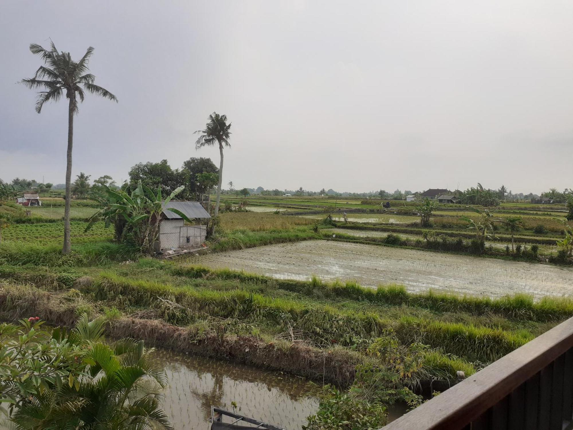 Griya Bun Sari Apartment Sukawati  Exterior photo